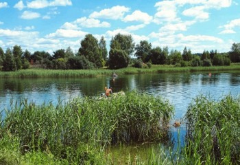 обеспечение безопасность при проведении соревнований - фото - 3