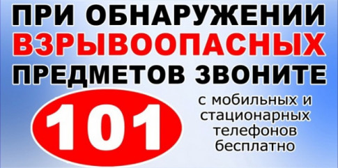 изъяты и обезврежены взрывоопасные предметы времен ВОВ - фото - 1